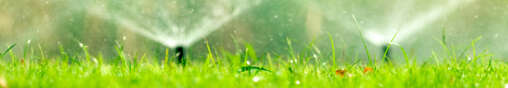 gartenbewaesserung filterbild gartenbewaesserung filterbild